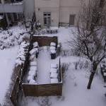 ベルリン氷雪模様(2)