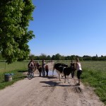 発掘の散歩術(9) -ドメーネ・ダーレムで体感する農村生活-